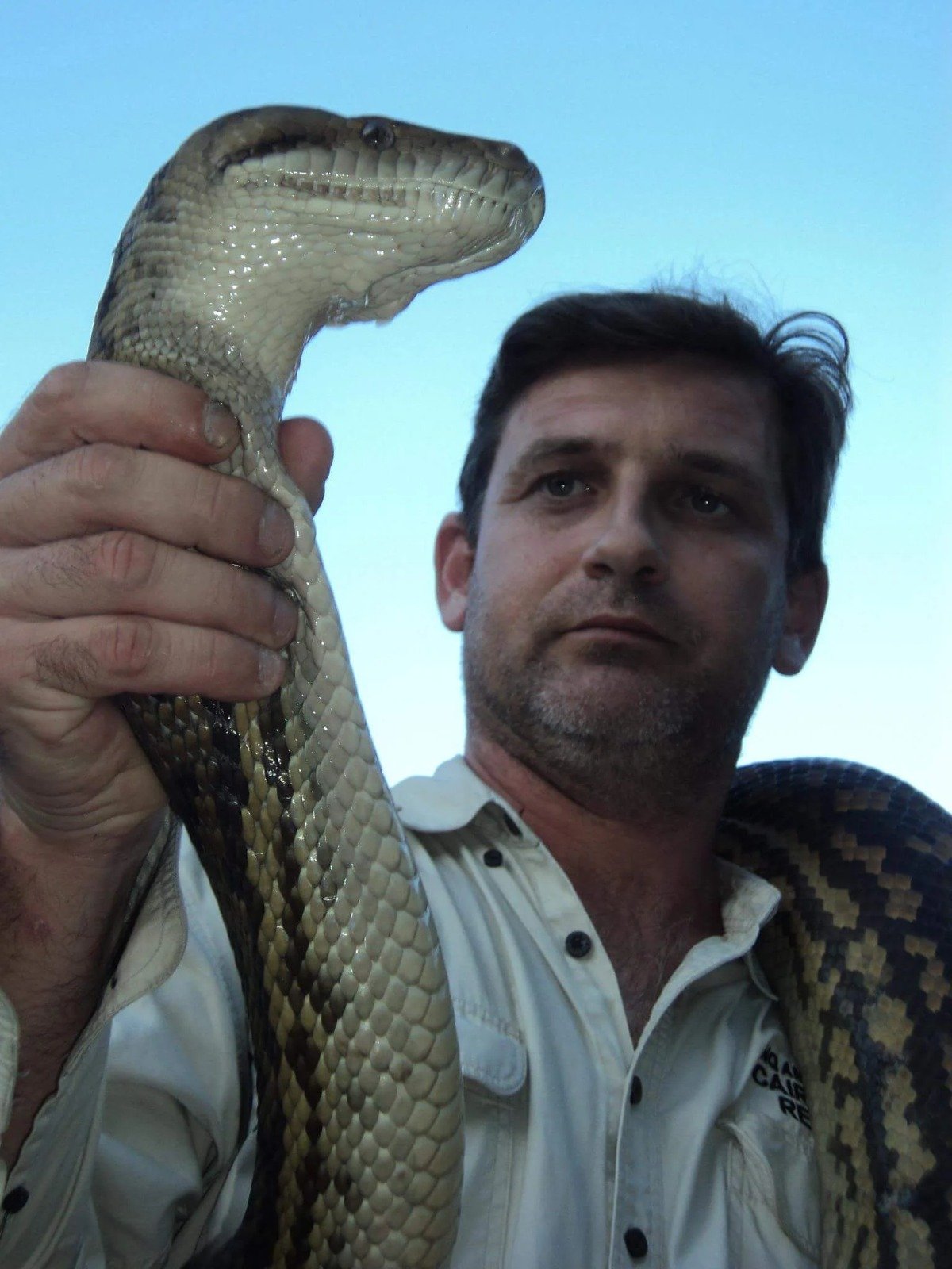 Cairns Snake Removals,Snake Catchers Cairns
